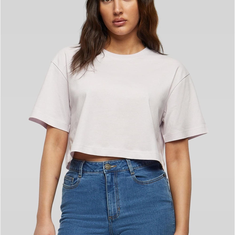 Wild Fable Mauve Crop Top plain baby tee indie hipster short sleeve girly shirt